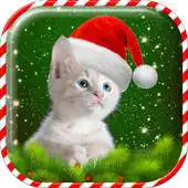 Free play online Christmas Cat Wallpaper APK