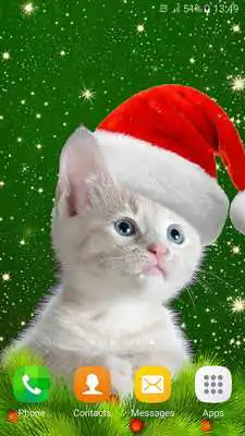 Play Christmas Cat Wallpaper Play Christmas Cat Wallpaper