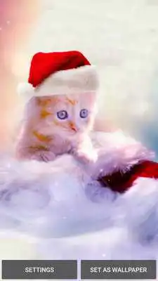Play Christmas Cat Wallpaper Play Christmas Cat Wallpaper