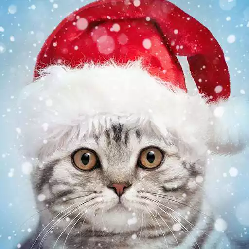 Play Christmas Photo Frames & Cards APK