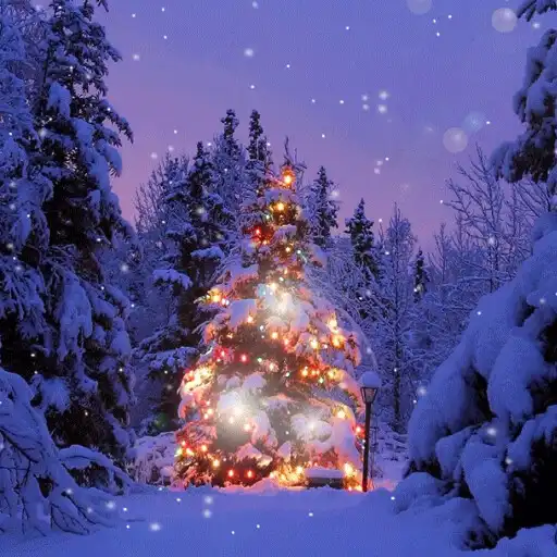 Free play online Christmas Snow Live Wallpaper APK