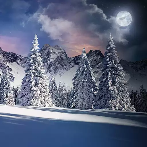 Play Christmas Snow Live Wallpaper APK Play Christmas Snow Live Wallpaper APK