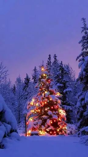 Play Christmas spirit