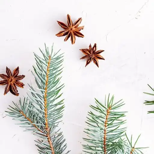 Play Christmas Waiting APK