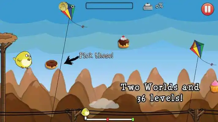 Play Chubby Bird