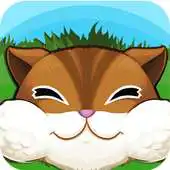 Free play online Chubby Chipmunk APK Free play online Chubby Chipmunk APK