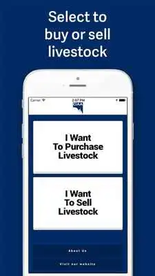 Play CIAA Livestock, Buy Sell Play CIAA Livestock, Buy Sell