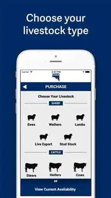 Play CIAA Livestock, Buy Sell Play CIAA Livestock, Buy Sell