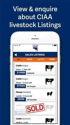 Play CIAA Livestock, Buy Sell Play CIAA Livestock, Buy Sell
