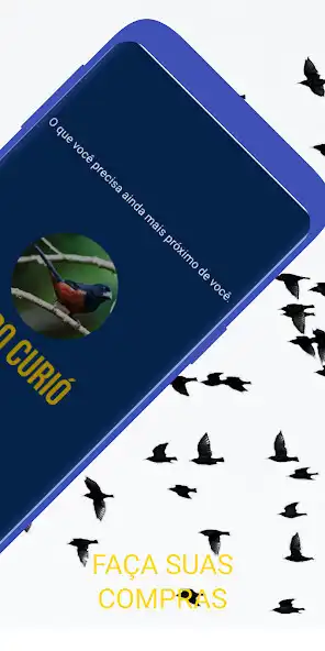 Play Cia do Curio as an online game Cia do Curio with UptoPlay