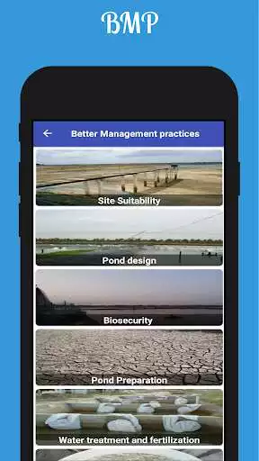 Play CIBA Shrimpapp as an online game online CIBA Shrimpapp with UptoPlay com.vanami.shrimpapp Play CIBA Shrimpapp as an online game CIBA Shrimpapp with UptoPlay