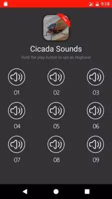 Play Cicada Sounds