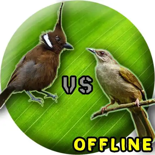 Play Cililin Dan Kapas Tembak MP3 APK