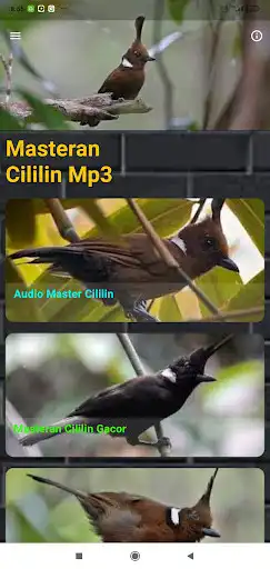 Play Cililin Master Juara Offline  and enjoy Cililin Master Juara Offline with UptoPlay