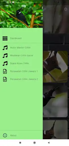 Play Cililin Master Juara Offline as an online game Cililin Master Juara Offline with UptoPlay