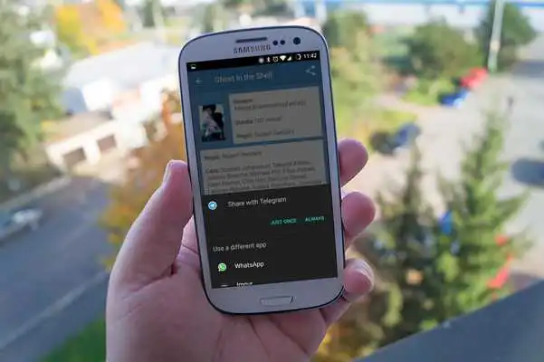 Play Cinema del Piceno