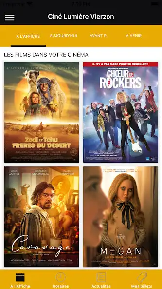 Play Ciné Lumière Vierzon  and enjoy Ciné Lumière Vierzon with UptoPlay