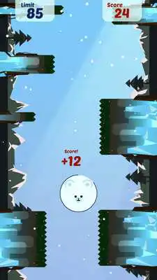 Play Circle Bear