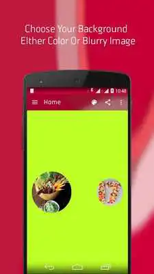 Play Circlify Play Circlify