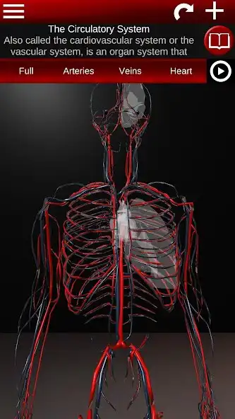 Circulatory System 3D Anatomy online game with UptoPlay