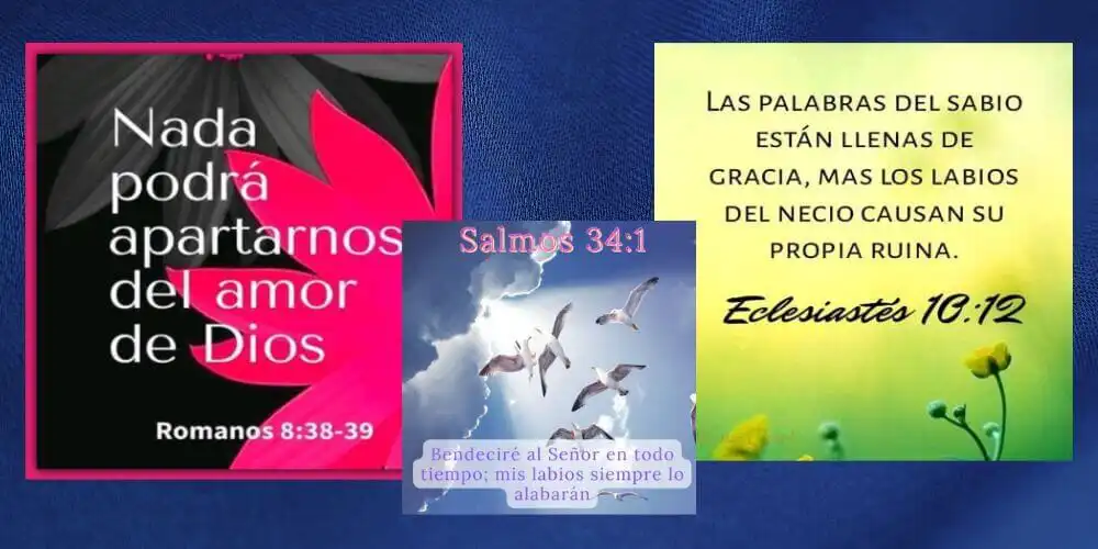 Play Cita biblica del día and enjoy Cita biblica del día with UptoPlay Play Cita biblica del día and enjoy Cita biblica del día with UptoPlay