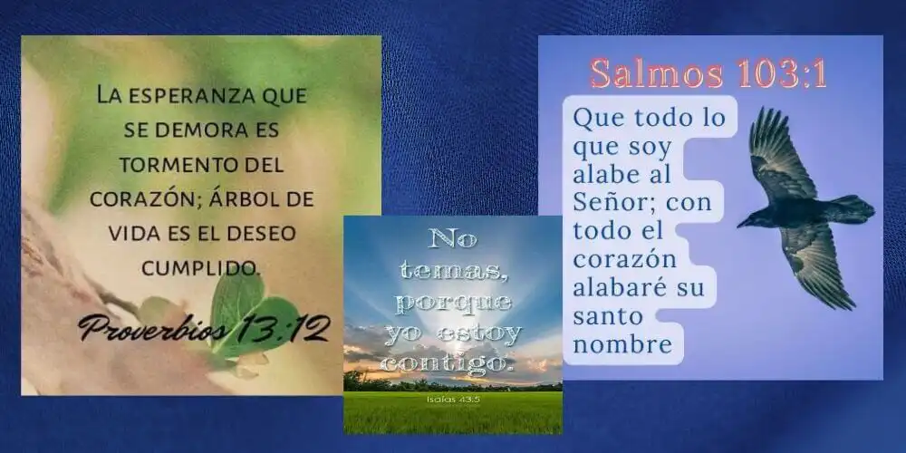 Play Cita biblica del día as an online game online Cita biblica del día with UptoPlay Play Cita biblica del día as an online game Cita biblica del día with UptoPlay