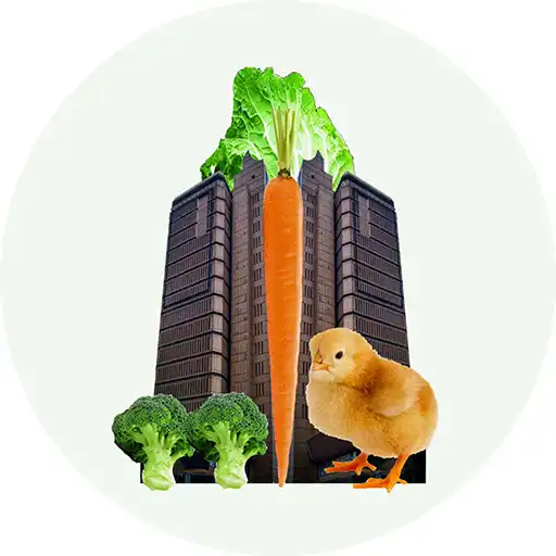 Play Citi Smart Farm APK Play Citi Smart Farm APK