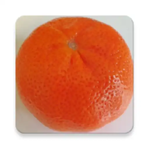 Play Citra Cheat Database APK