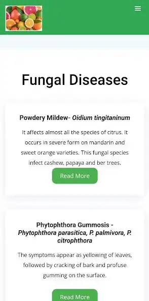 Play Citrus diseases as an online game Citrus diseases with UptoPlay