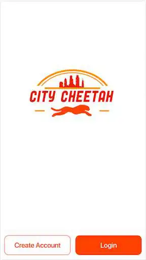Play City Cheetah