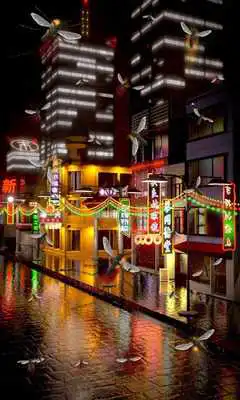 Play City Free live wallpaper