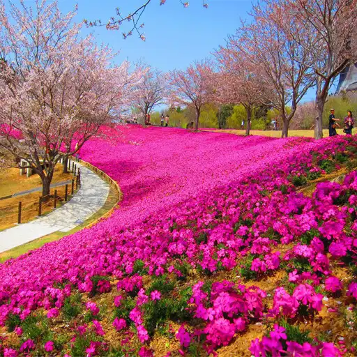 Play City garden design APK Play City garden design APK