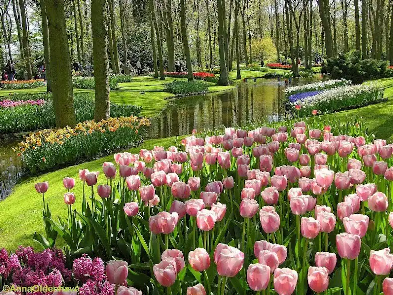 Play City garden design as an online game City garden design with UptoPlay
