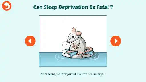 Play CityHacks: In Search of Sleep  and enjoy CityHacks: In Search of Sleep with UptoPlay