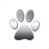 Free play online CITYPETS Centro Veterinario APK