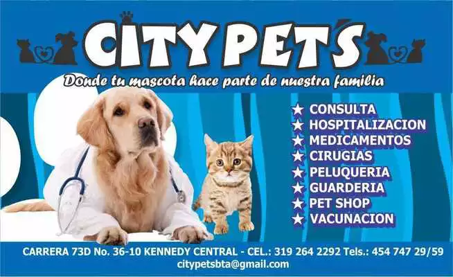 Play CITYPETS Centro Veterinario Play CITYPETS Centro Veterinario