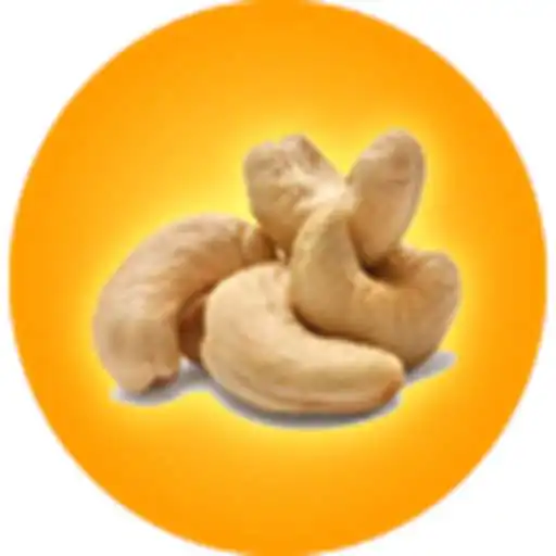 Free play online Citysmart Cashew APK