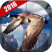 Free play online City Sniper Birds Hunting APK
