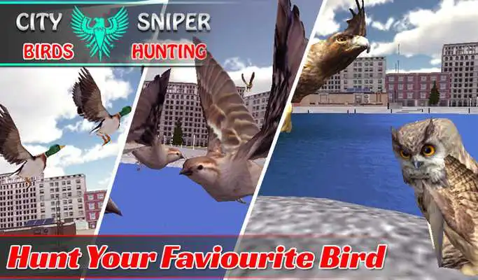 Play City Sniper Birds Hunting