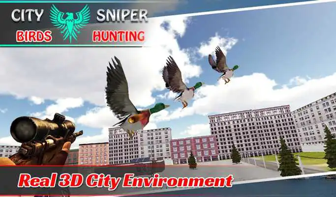 Play City Sniper Birds Hunting