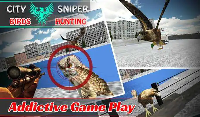 Play City Sniper Birds Hunting