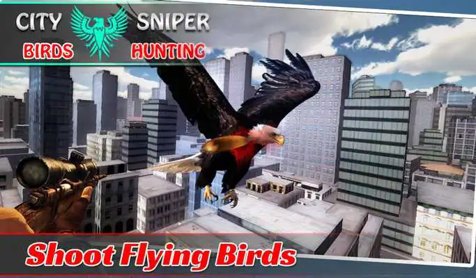 Play City Sniper Birds Hunting