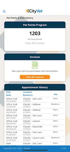 Play City Vet as an online game City Vet with UptoPlay