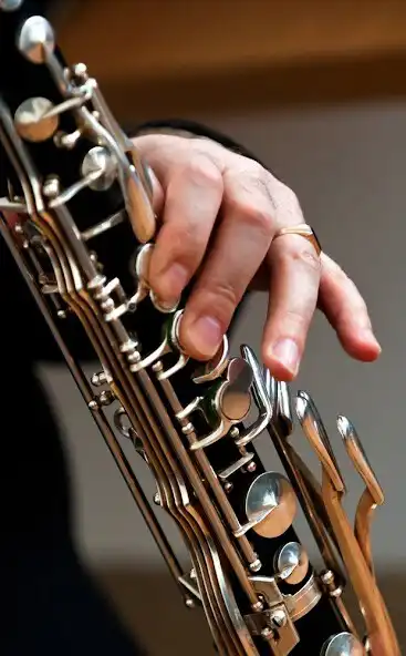 Play Clarinet Ringtones  and enjoy Clarinet Ringtones with UptoPlay
