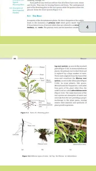 Play Class 11 Biology NCERT Book as an online game Class 11 Biology NCERT Book with UptoPlay