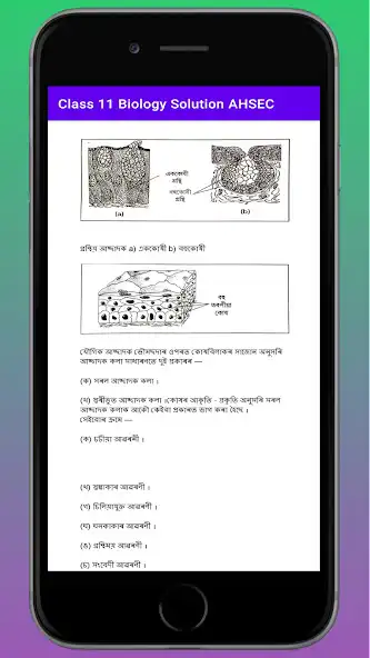 Play Class 11 Biology Notes AHSEC as an online game Class 11 Biology Notes AHSEC with UptoPlay