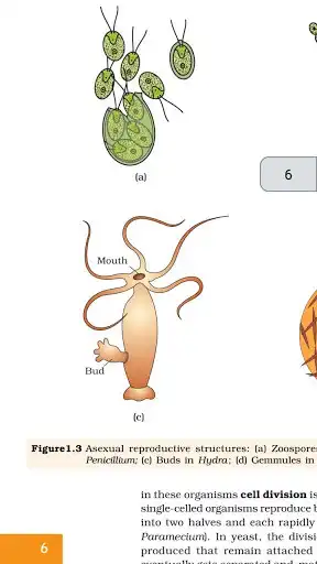 Play Class 12 Biology NCERT Book  and enjoy Class 12 Biology NCERT Book with UptoPlay