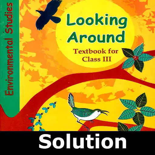 Play Class 3 EVS Solution APK