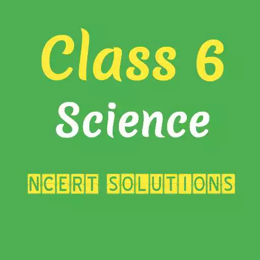 Play Class 6 Science Solution APK