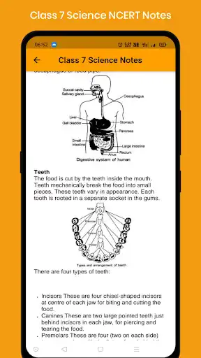 Play Class 7 Science NCERT Notes as an online game Class 7 Science NCERT Notes with UptoPlay